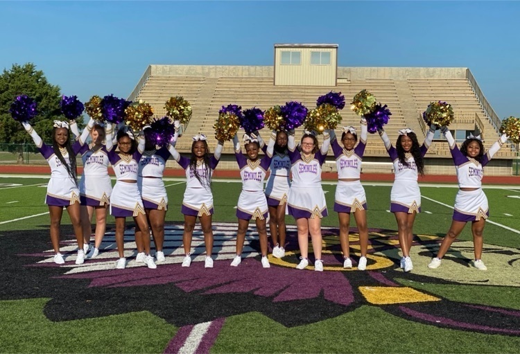 Picture of OHS Cheerleaders