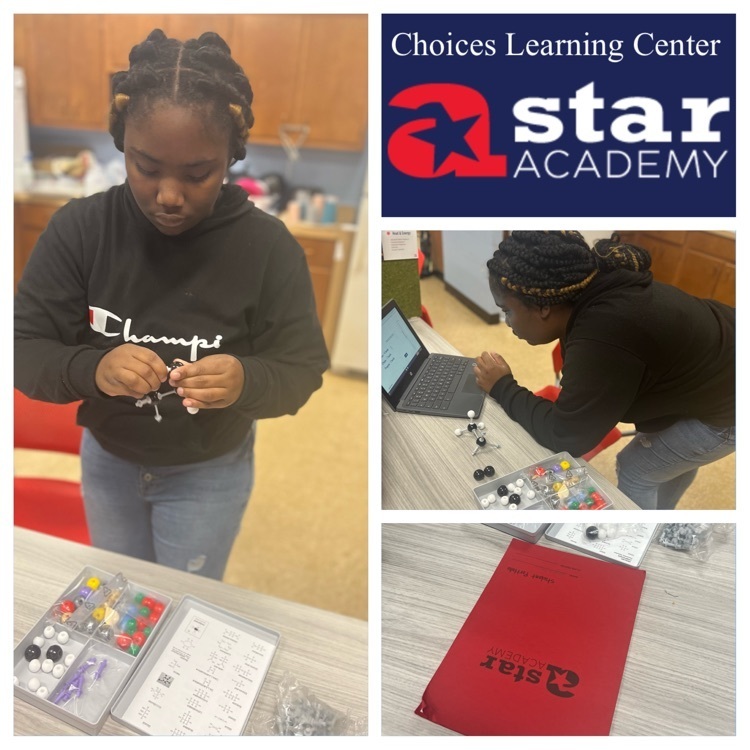 Student worked on Chromosome Lab in her Environmental Class utilizing the STAR Academy Science Modules.